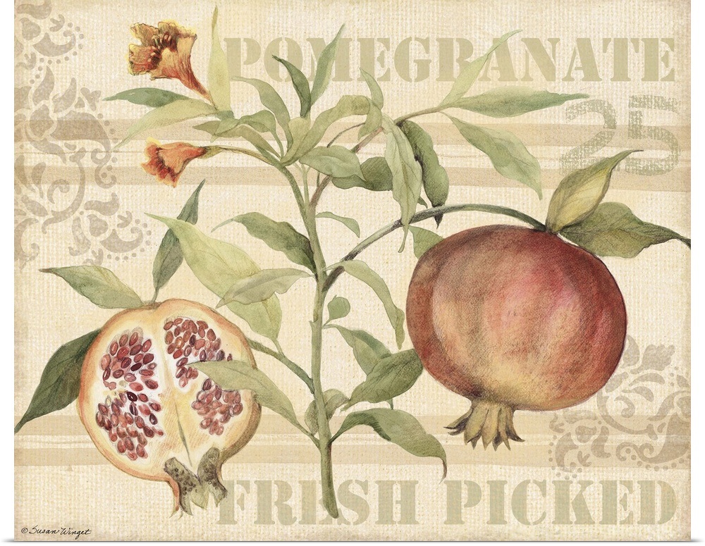 Poster Print /"Pomegranate/"
