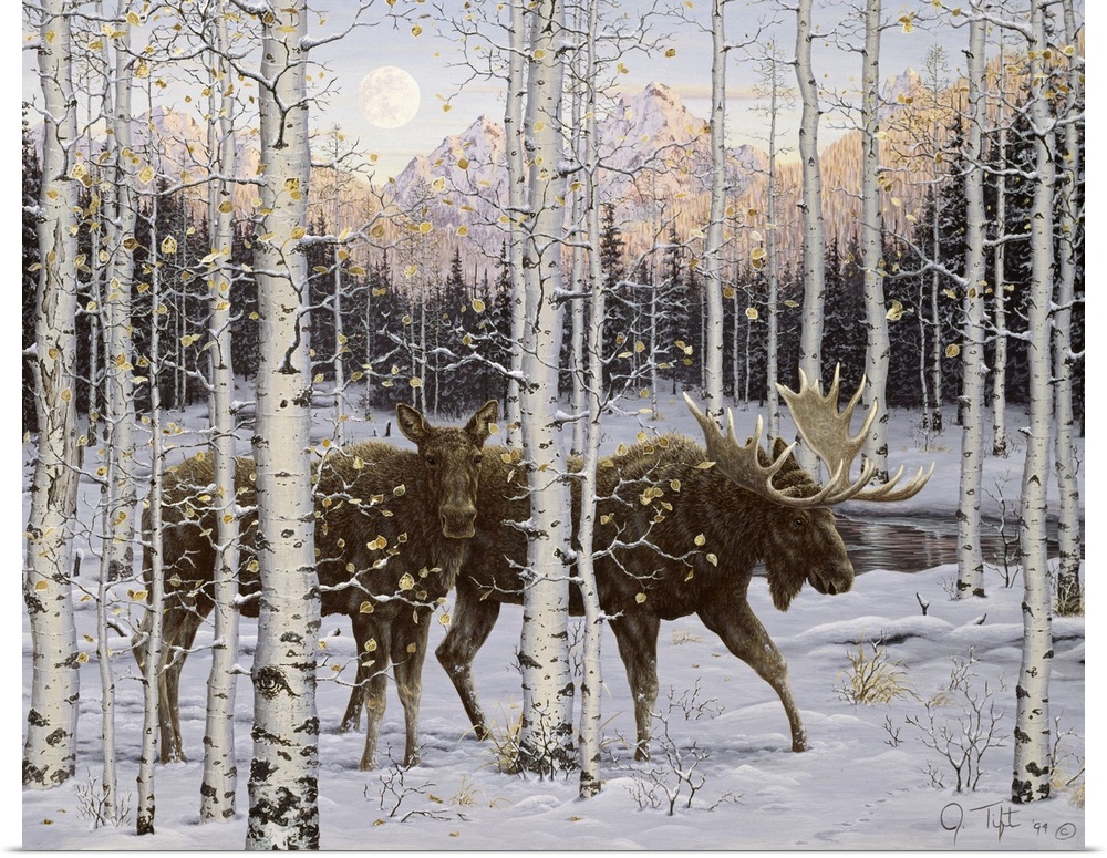 Poster Print Wall Art entitled Forest Twilight Poster Print Wall Art entitled Forest Twilight