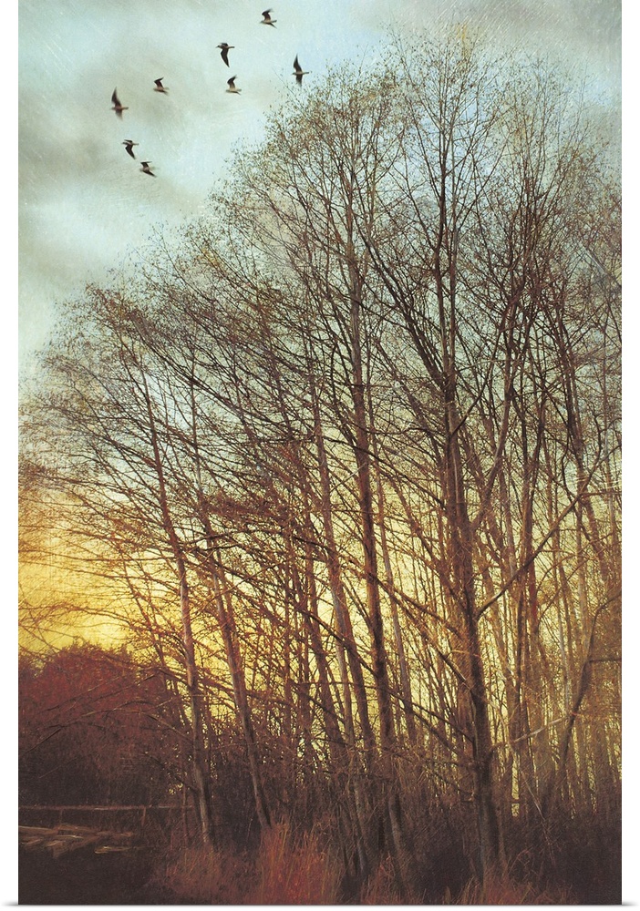Poster Print Wall Art entitled Winter Light II Poster Print Wall Art entitled Winter Light II