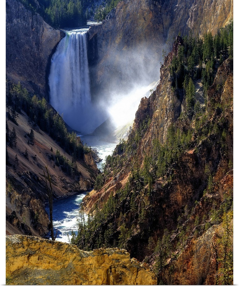 Poster Print Wall Art entitled Lower Yellowstone Falls