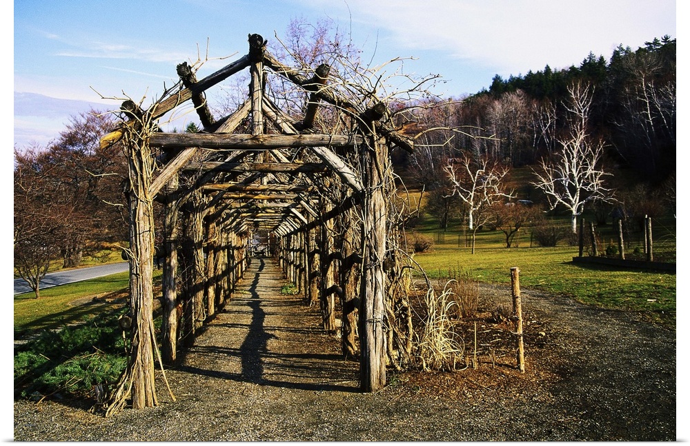 Poster Print Wall Art entitled Wisteria trellis, New Paltz, NY Poster Print Wall Art entitled Wisteria trellis, New Paltz, NY