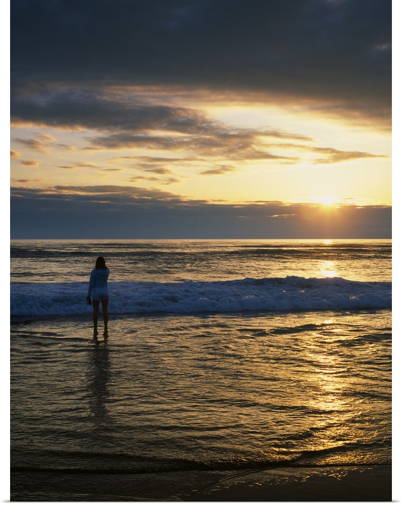 Poster Print Wall Art entitled Rear View Of Woman On Beach Looking Toward Poster Print Wall Art entitled Rear View Of Woman On Beach Looking Toward