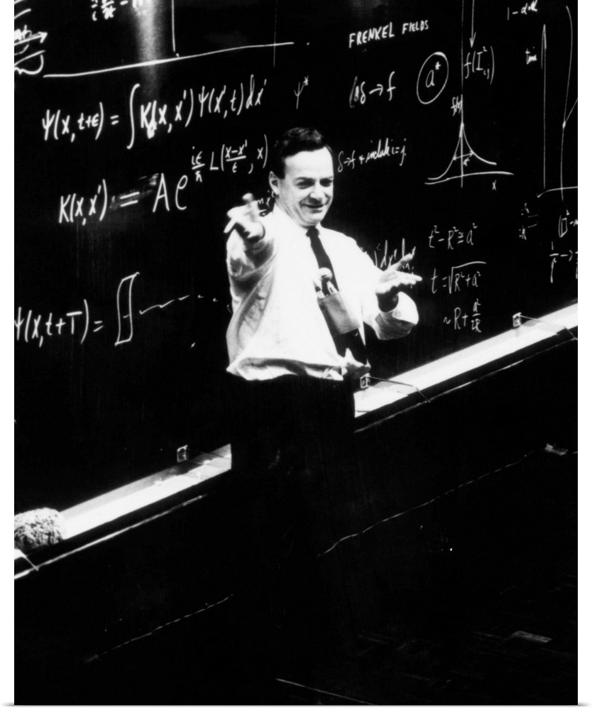 Feynman Physics