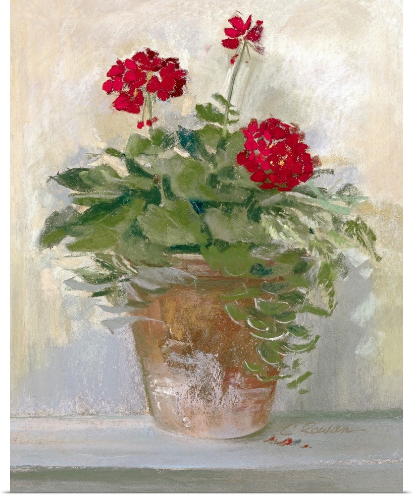 "Potted Geraniums II" Poster Print eBay
