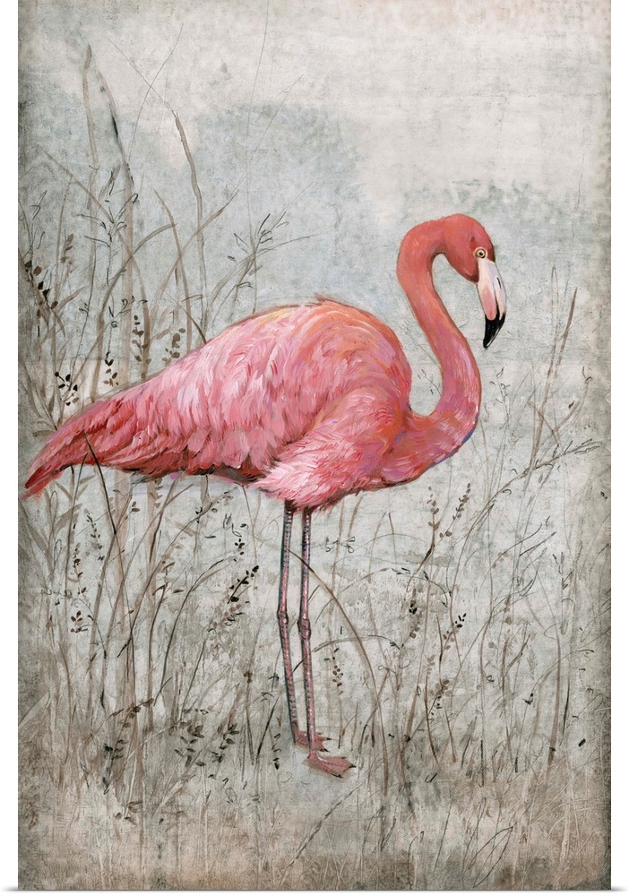 Poster Print Wall Art entitled American Flamingo I Poster Print Wall Art entitled American Flamingo I