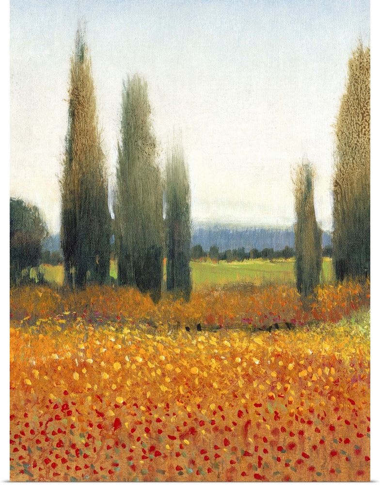 Poster Print Wall Art entitled Cypress Trees II Poster Print Wall Art entitled Cypress Trees II