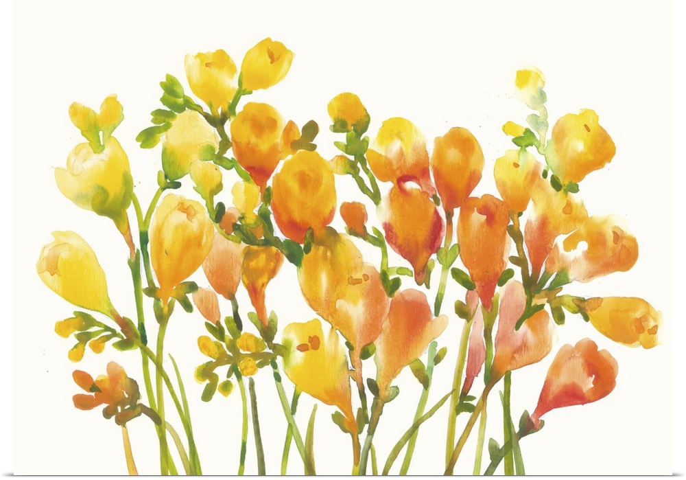 Poster Print Wall Art entitled Freesia I Poster Print Wall Art entitled Freesia I