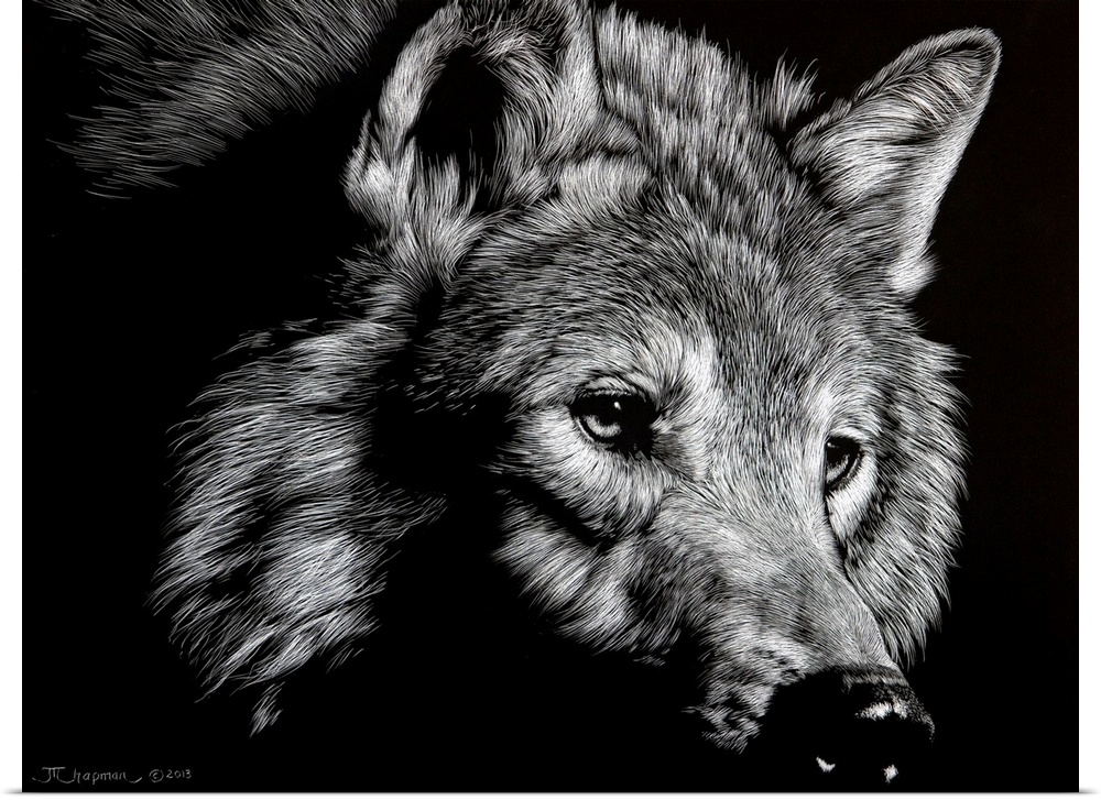Poster Print Wall Art entitled Wild Eyes Poster Print Wall Art entitled Wild Eyes