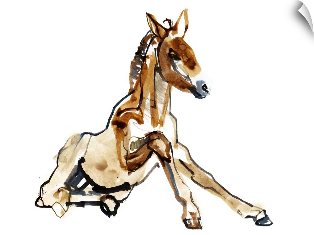 Wand Decal Ochre Foal, 2013 Wand Decal Ochre Foal, 2013
