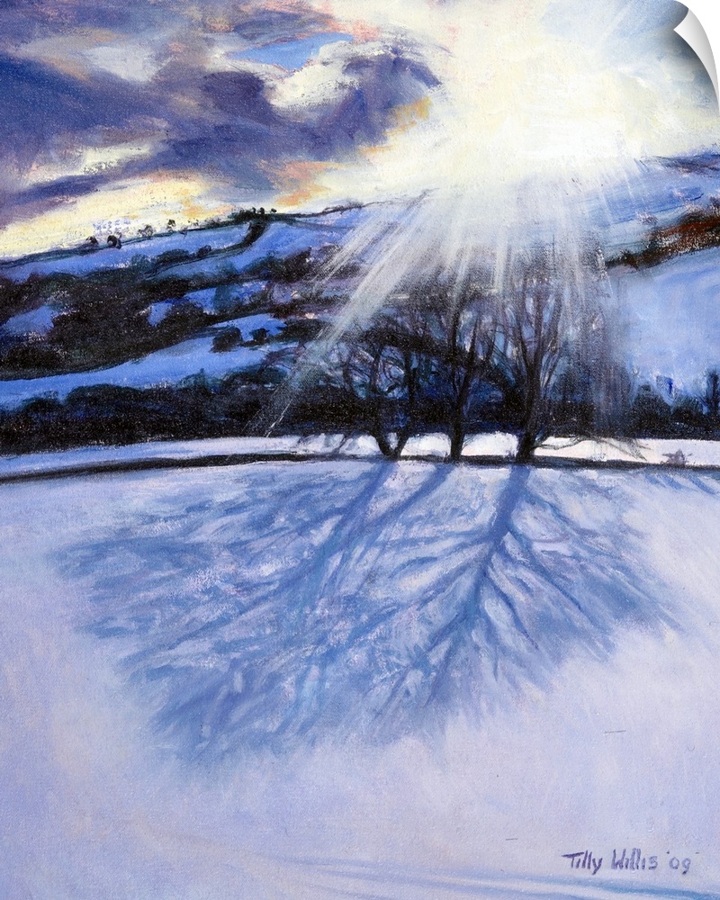Wall Decal entitled Snow Shadows, 2009 Wall Decal entitled Snow Shadows, 2009