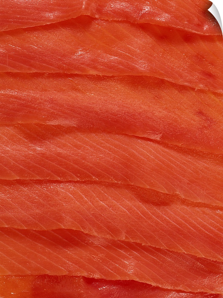 wand abziehbild entitled Curot salmon wand abziehbild entitled Curot salmon
