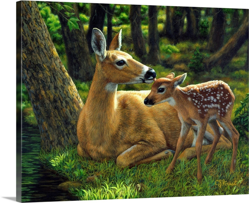 Deer Home Decor Spring Fawn Canvas Wall Art Print 