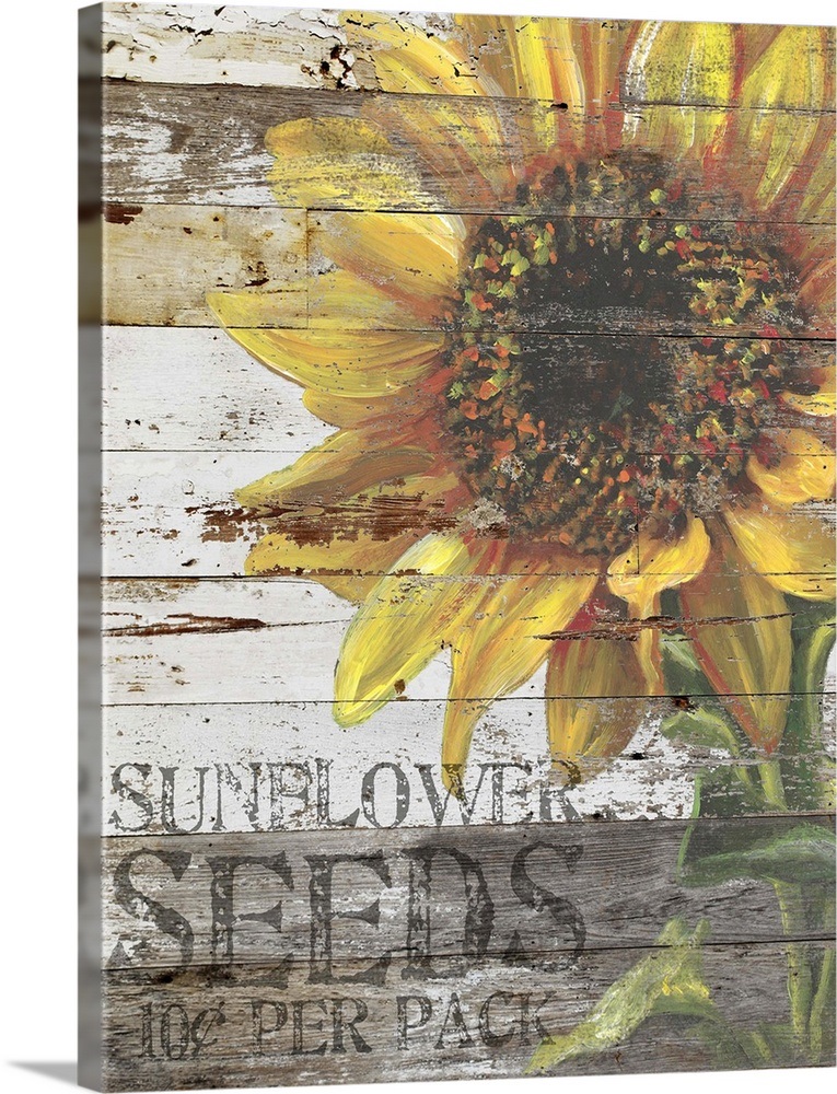 "Sunflower Seeds Sign" Canvas Art Print eBay