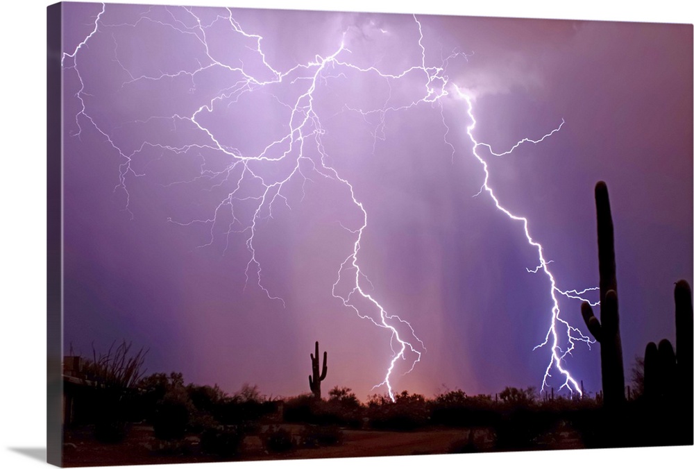 Solid-Faced Canvas Print Wall Art entitled Electrifying Solid-Faced Canvas Print Wall Art entitled Electrifying