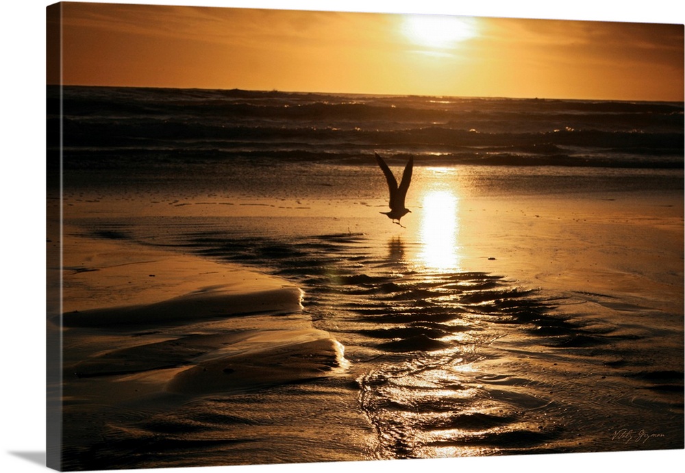 Sunset Bird Canvas Art Print Sunset Bird Canvas Art Print