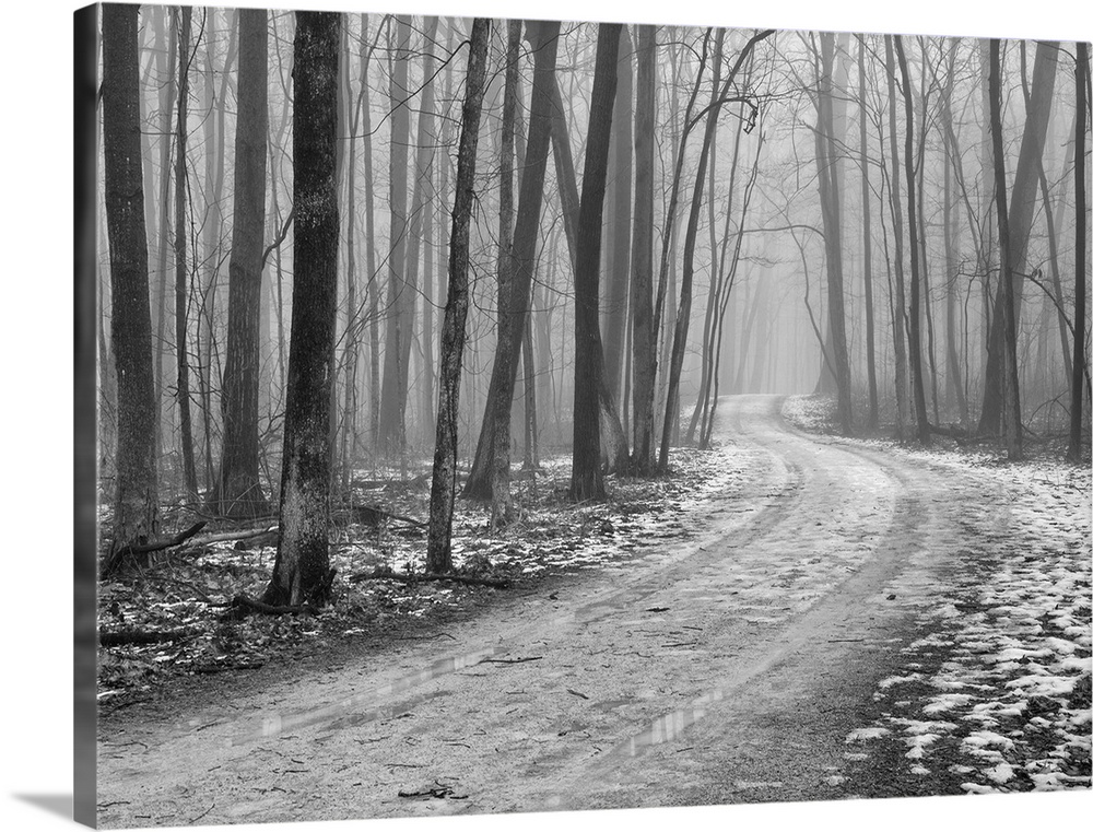 Solid-Faced Canvas Print Wall Art entitled Foggy morning, late winter in Wright Solid-Faced Canvas Print Wall Art entitled Foggy morning, late winter in Wright