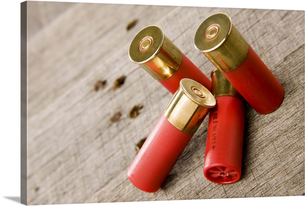 Solid-Faced Canvas drucken wand kunst entitled Shotgun shells Solid-Faced Canvas drucken wand kunst entitled Shotgun shells