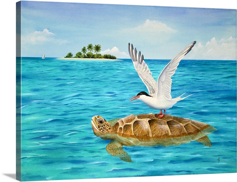 "Turtle Island" Canvas Art Print eBay