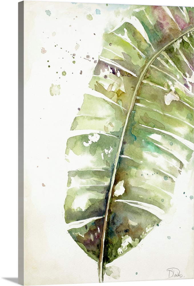 Solid-Faced Canvas Print Wall Art entitled WaterColoreee Plantain Leaves II Solid-Faced Canvas Print Wall Art entitled WaterColoreee Plantain Leaves II