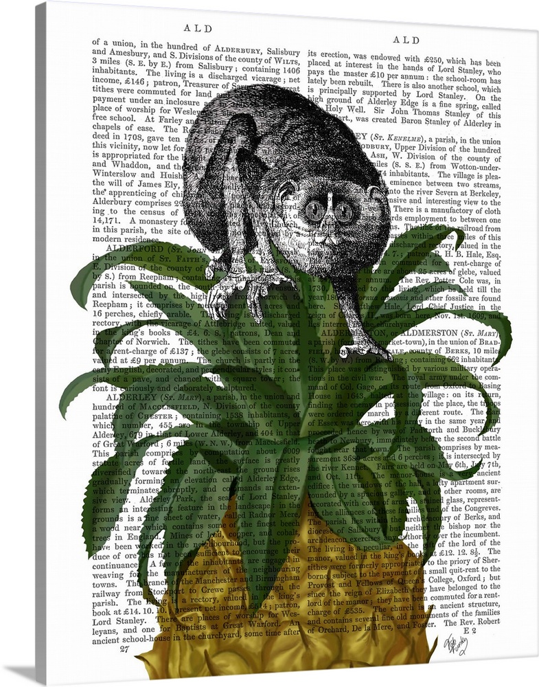 Solid-Faced Canvas Print Wall Art entitled Loris on Pineapple Solid-Faced Canvas Print Wall Art entitled Loris on Pineapple