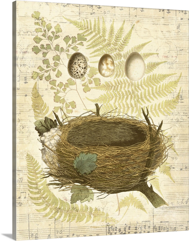 Solid-Faced Canvas Print Wall Art entitled Melodic Nest and Eggs II Solid-Faced Canvas Print Wall Art entitled Melodic Nest and Eggs II